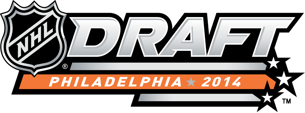 NHL Draft 2014 Alternate Logo iron on transfers for T-shirts